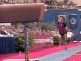 Amy Chow - Vault 1 - 1994 U.S. Gymnastics Championships - Women - Event Finals