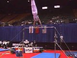 Bill Roth - High Bar - 1995 Visa Gymnastics Challenge - Men