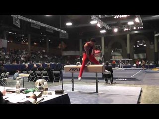 Chandler Eggleston - Pommel Horse - 2013 Winter Cup Prelims