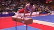 Alexander Belanovsky - Pommel Horse - 1995 Visa Gymnastics Challenge - Men