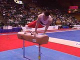 Alexander Belanovsky - Pommel Horse - 1995 Visa Gymnastics Challenge - Men