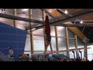 Marty Strech - Parallel Bars - 2014 Pacific Rim Championships Team/AA Final