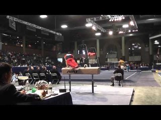 Jesse Silverstein - Pommel Horse - 2013 Winter Cup Prelims