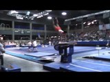 Masayoshi Mori - Vault - 2013 Winter Cup Prelims