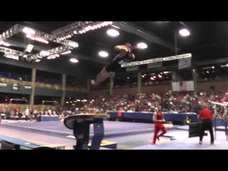 Steven Lacombe - Vault - 2013 Winter Cup Finals