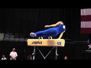 Danell Leyva - Pommel Horse - 2013 P&G Championships - Sr. Men - Day 2