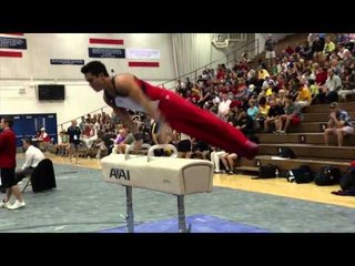 Sean Melton - Pommel Horse - 2013 Men's National Qualifier