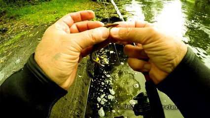 REAL sight fishing for perch underwater wt worms. Подводная рыбалка на окуня на червя