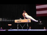 Colin Van Wicklen - Pommel Horse - 2013 P&G Championships - Jr. Men - Day 1