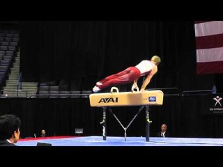 Chris Turner - Pommel Horse - 2013 P&G Championships - Sr. Men - Day 2