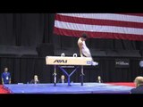 Vitali Kan - Pommel Horse - 2014 P&G Championships - Jr. Men Day 1