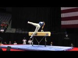 Trevor Howard - Pommel Horse - 2013 P&G Championships - Sr. Men - Day 2