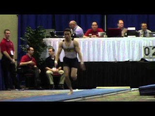 Steven Lacombe -  Vault  - 2014 Winter Cup Prelims