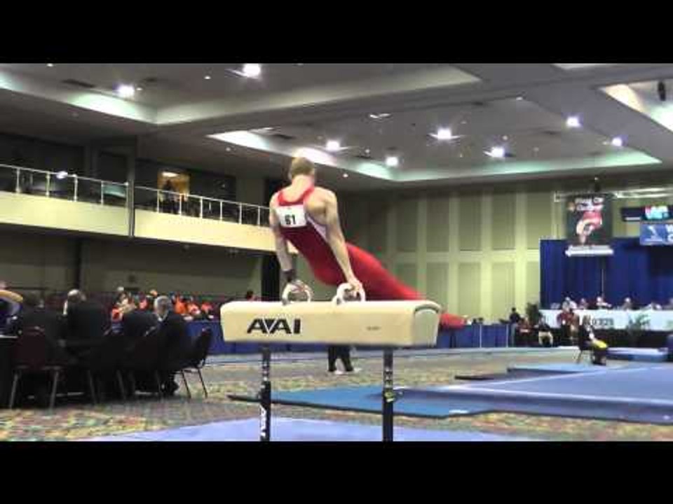 Danny Berardini - Pommel Horse - 2014 Winter Cup Challenge Prelims