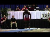 Donnell Whittenburg - Vault  - 2014 Winter Cup Prelims