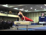 Marty Strech - Pommel Horse - 2014 Winter Cup Challenge Prelims