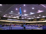 Kiwan Watts - Parallel Bars - 2014 Winter Cup Challenge Finals