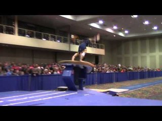 CJ Maestas - Vault - 2014 Winter Cup Challenge Finals