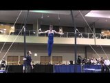 Alex Diab - Still Rings -- 2014 Winter Cup Prelims