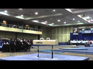 John Orozco - Pommel Horse - 2014 Winter Cup Challenge Prelims