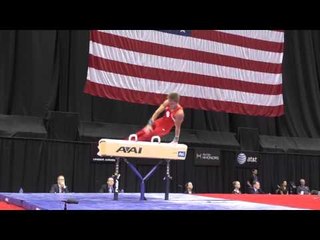 Allan Bower - Pommel Horse - 2014 P&G Championships - Sr. Men Day 1