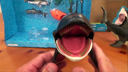 Animal Planet Mega Great White Shark & Orca Killer Whale Set Unboxing Play