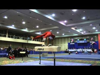 Joshua Dixon - Pommel Horse - 2014 Winter Cup Challenge Finals