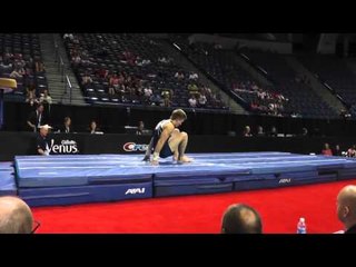 Allan Bower - Vault - 2013 P&G Championships - Jr. Men - Day 1
