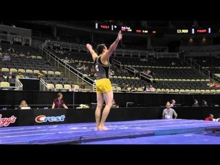 Austin Hodges - Vault - 2014 P&G Championships - Jr. Men Day 2