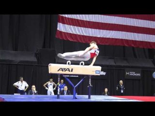 Matthew Wenske - Pommel Horse - 2014 P&G Championships - Jr. Men Day 1