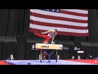Drew Moling - Pommel Horse - 2014 P&G Championships - Sr. Men Day 2