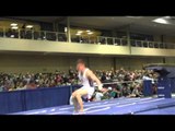 Hunter Justus - Vault - 2015 Winter Cup Finals