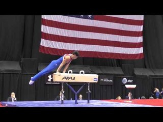 Marcos Gatinho - Pommel Horse - 2014 P&G Championships - Jr. Men Day 2