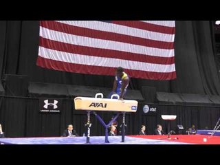 Marvin Kimble - Pommel Horse - 2014 P&G Championships - Sr. Men Day 2