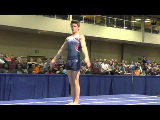 Davis Grooms - Vault - 2015 Winter Cup Prelims