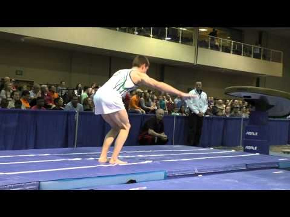 Michael Burns - Vault - 2015 Winter Cup Prelims
