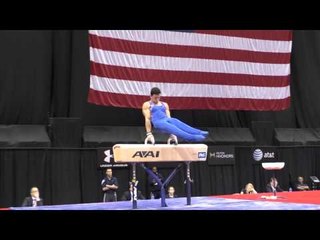 Peter Daggett - Pommel Horse - 2014 P&G Championships - Jr. Men Day 2
