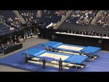 Steven Gluckstein - Optionals - 2015 USA Gymnastics Championships