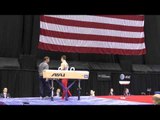 Colin Van Wicklen - Pommel Horse - 2014 P&G Championships - Sr. Men Day 2