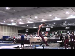 Stewart MacDonald - Pommel Horse - 2015 Winter Cup Prelims