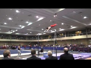 Fabian DeLuna – High Bar – 2015 Winter Cup Prelims
