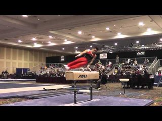 Fabian DeLuna - Pommel Horse - 2015 Winter Cup Prelims