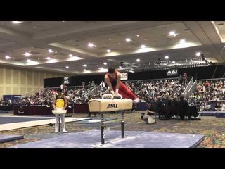 Fabian DeLuna - Pommel Horse - 2015 Winter Cup Finals