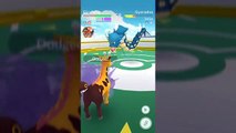 Pokémon GO Gym Battles 4 Gyms Friendly PVP Ampharos Magikarp Aerodyl & more