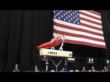 Yul Moldauer - Pommel Horse - 2015 P&G Championships - Jr. Men Day 1