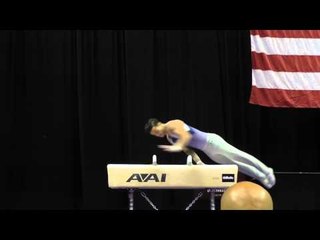 Paul Ruggeri - Pommel Horse - 2015 P&G Championships - Sr. Men Day 2