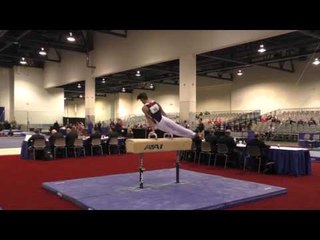 Davis Grooms - Pommel Horse - 2016 Winter Cup Prelims