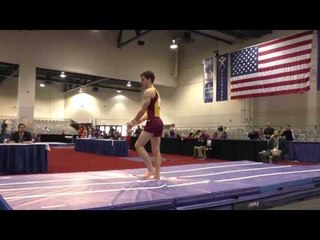 Ellis Mannon - Vault - 2016 Winter Cup Prelims