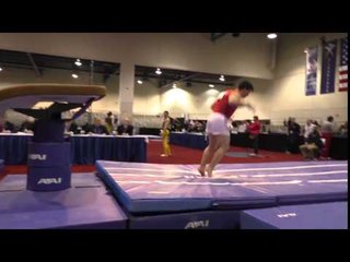 Peter Daggett - Vault - 2016 Winter Cup Prelims