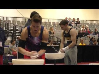 Max Andryushchenko - Parallel Bars - 2016 Winter Cup Prelims